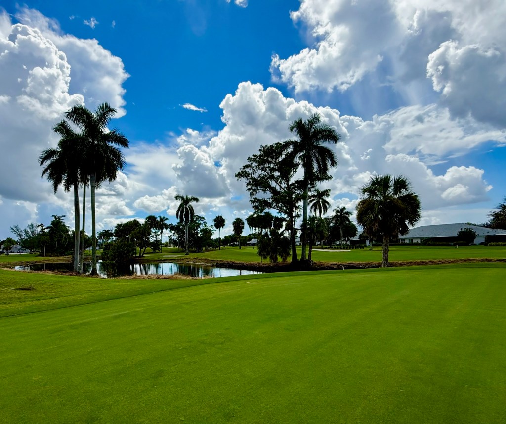 Golf course green with pond and trees